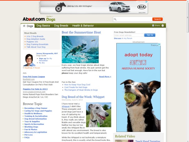 Arizona Humane Society - Adopt Dog1 - MWSK